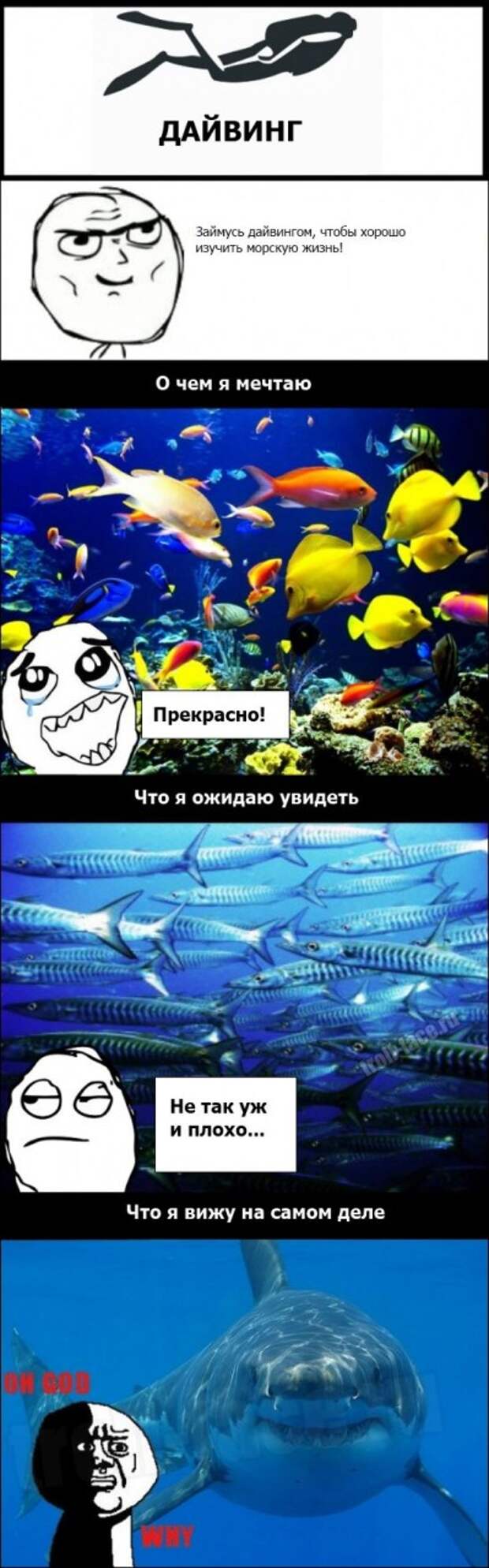 комиксы (25 фото)