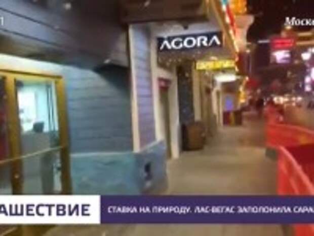 Причины массового появления кузнечиков