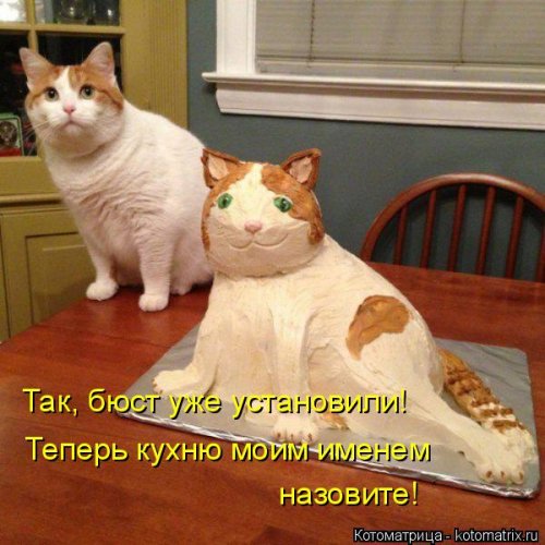 Котоматрица на Бугаге (28 фото)