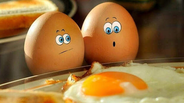 Что сулит разбитое во сне яйцо? Набор самых распространенных примет о курином яйце