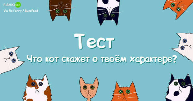 Тест какой ты котик