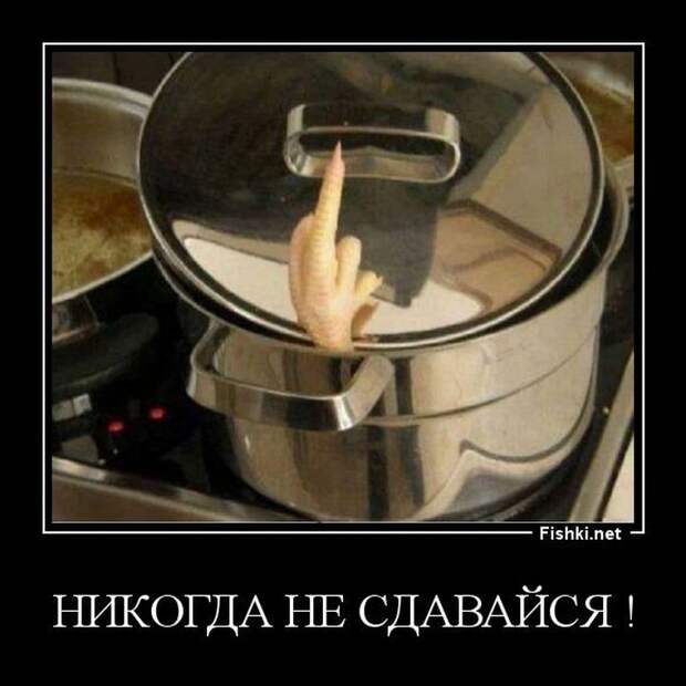 Демотиваторы демотиваторы, прикол, смех, юмор