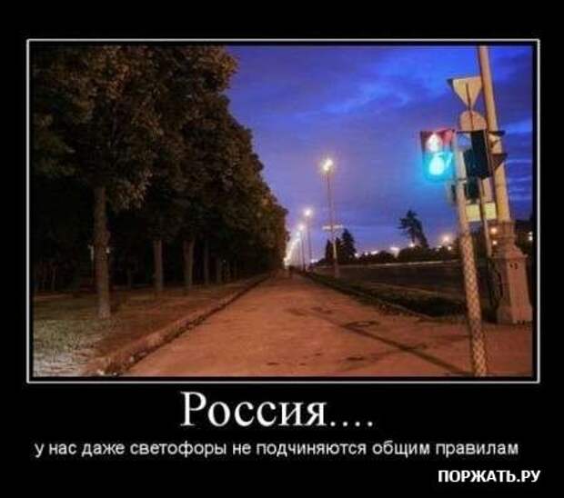 Демы свеженькие