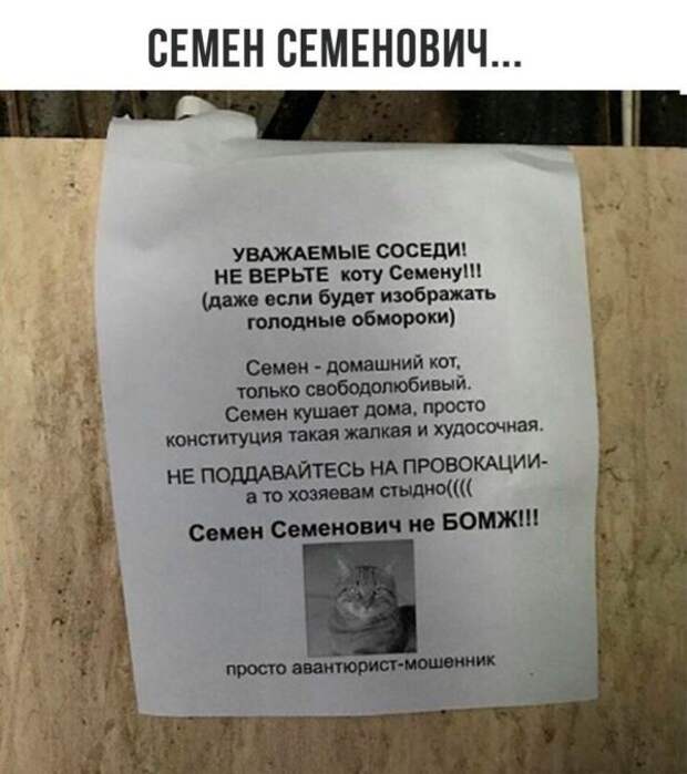 Позитивные картинки с надписями со смыслом из жизни (11 фото) Позитивные картинки с надписями со смыслом из жизни (11 фото)