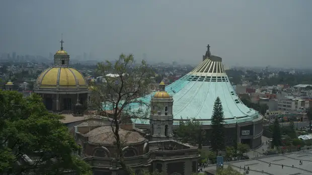 Направляющийся в Мексику ураган «Роса» усилился до второй категории