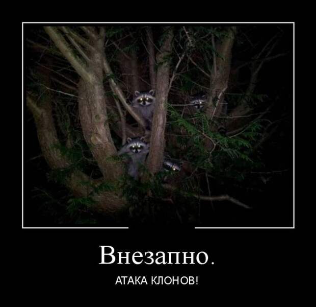 Внезапно. Атака клонов! демотиватор, юмор