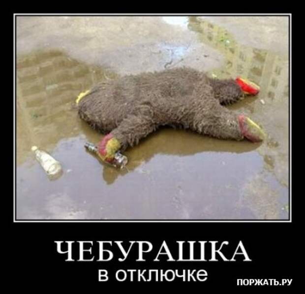 Демотиваторы свежак
