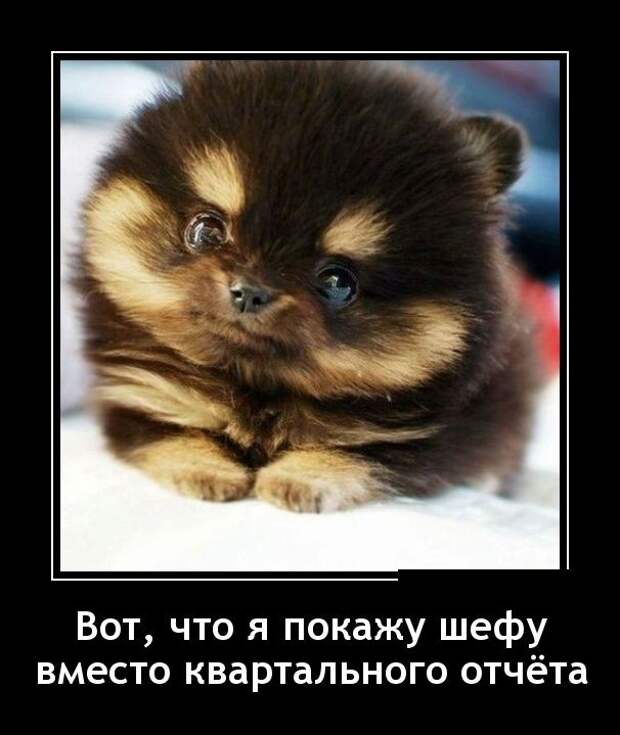 Демотиваторы №1061 (30 фото)