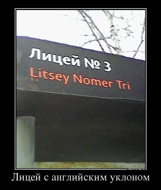 Демотиваторы