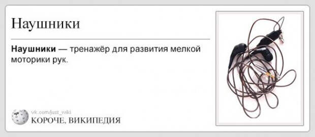 короче википедия (16)