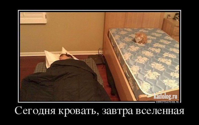 Демотиваторы - 248 (50 демотиваторов)
