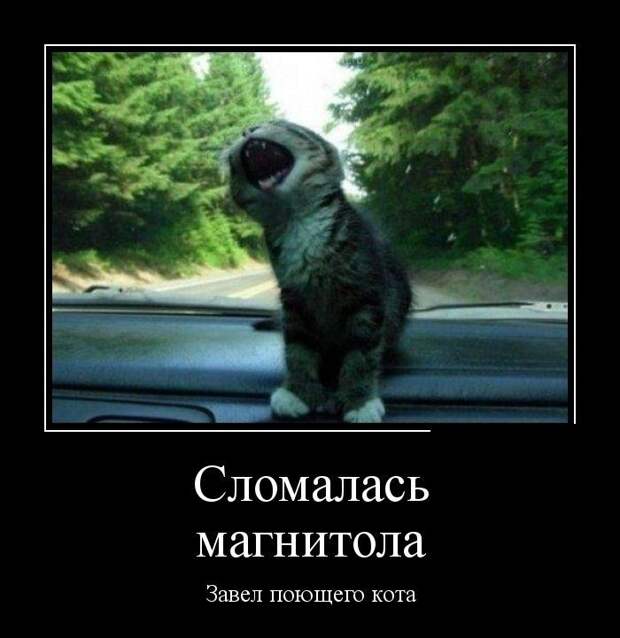 Демотиваторы  демотиваторы, прикол, смех, юмор