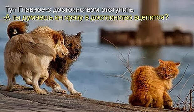 9e4760cfe708f45370b2cb3afb2_prev