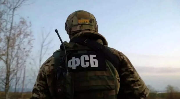 ФСБ задержала украинского агента при попытке атаковать дронами военный аэродром