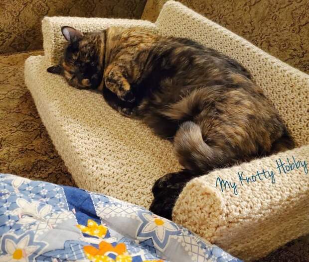 Хозяева вяжут для котов диванчики - и это сплошная милота!
