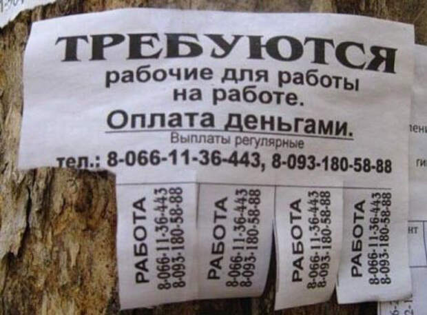 нестандартные объявления о работе