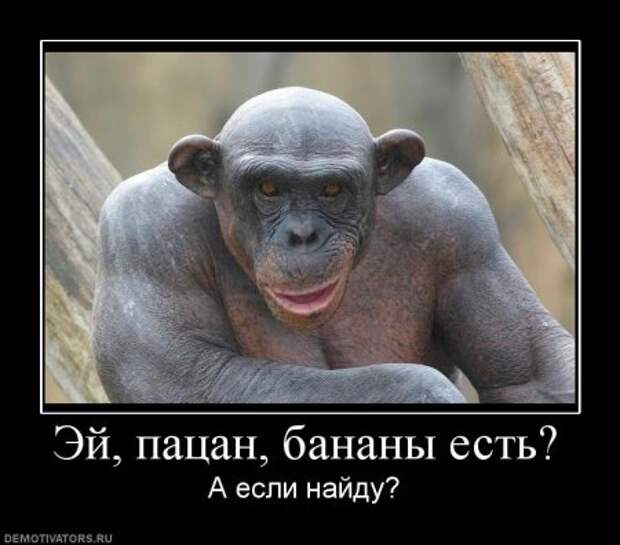 Смешные демотиваторы на разные темы.