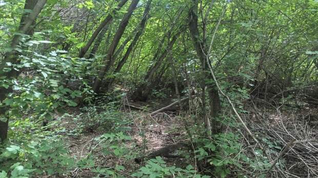 Место, где было обнаружено тело малышки / Фото: СУ СК по Алтайскому краю