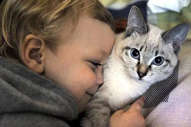 Кошка и ребенок, фото фотография