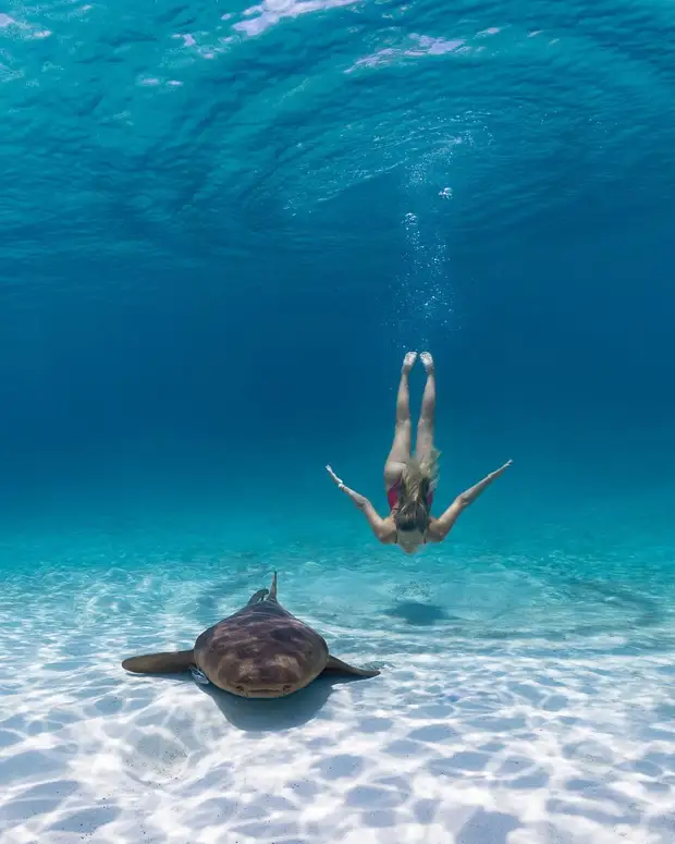 Андре Масгроув (André Musgrove) и его невероятные подводные снимки