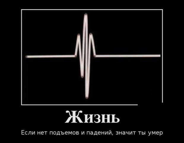 Демотиваторы (30 фото) Демотиваторы (30 фото)
