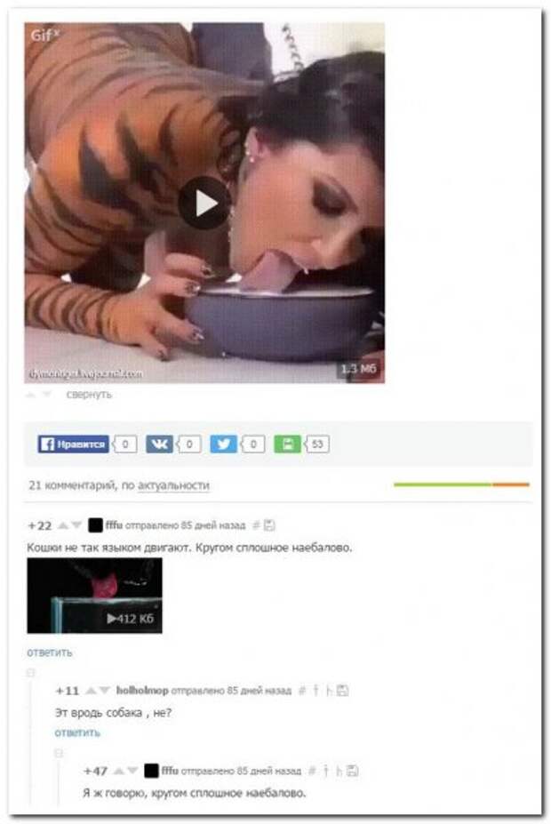 комментарии из социальных сетей.