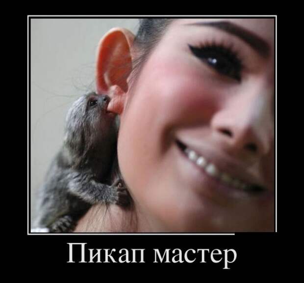 Пикап мастер демотиватор, юмор