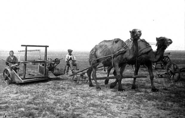 image-cCgLgW-russia-biography.jpg image-cCgLgW-russia-biography.jpg