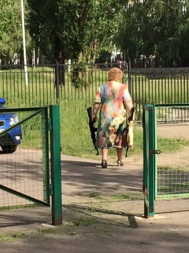 Юмор каждый день