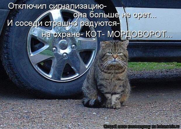 Мысли вслух :)