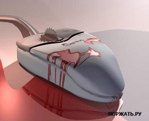 Подборочка фотоприколов (10 фоток)