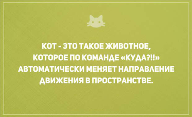 открытки о том, что без кота и жизнь не та (3)
