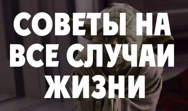 Полезные советы на все случаи жизни: Полезные советы на все случаи жизни:
