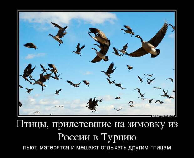 Демотиваторы (51 фото) 