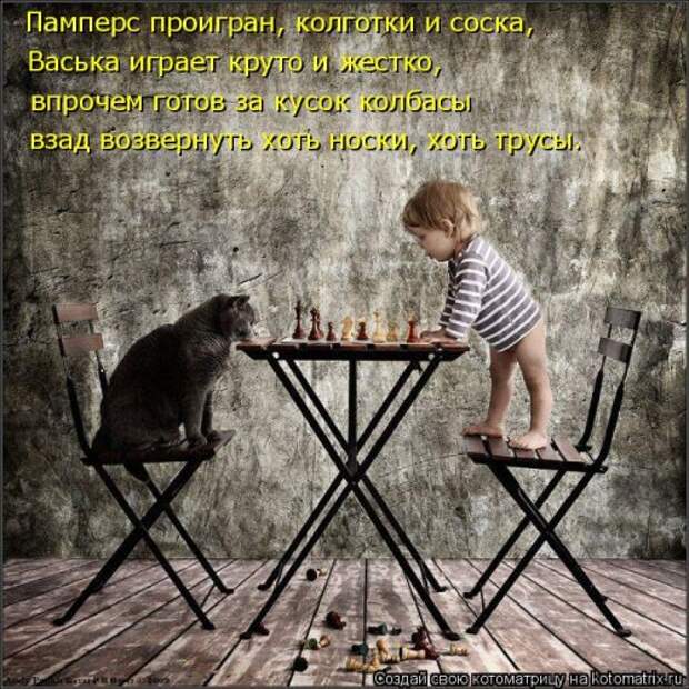 Новая котоматрица (29 фото)