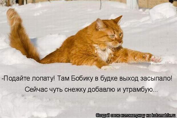 Котоматрицы :)