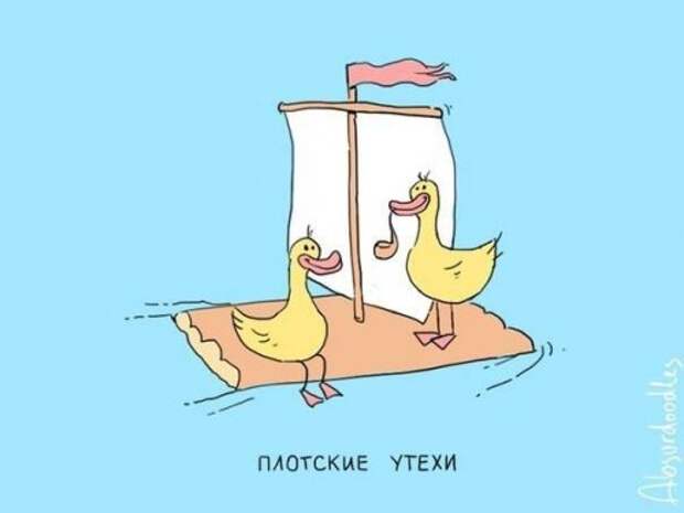 Отличные фото-приколы дня (61 шт)
