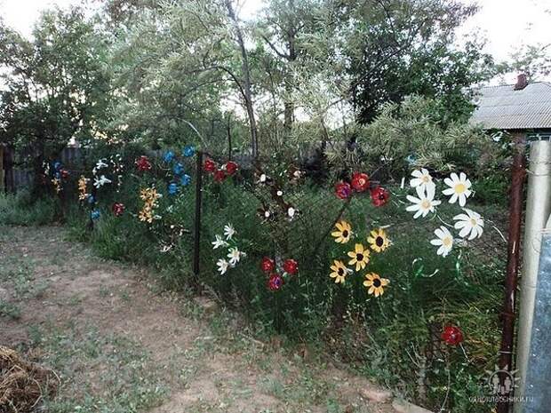 не простой заборчик,а цветущий