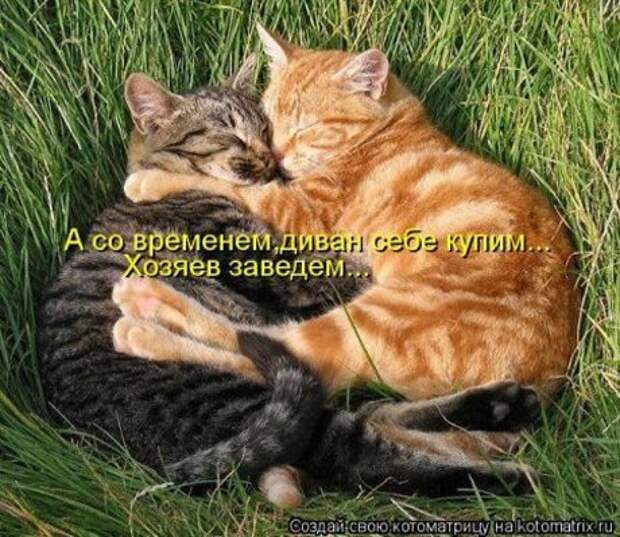 Животные мысли вслух Животные мысли вслух
