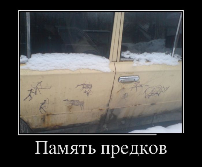 Демотиваторы (30 фото)