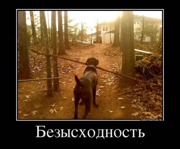 Демотиваторы демотиваторы, прикол, смех, юмор