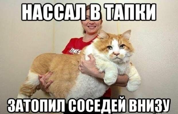 Картинки