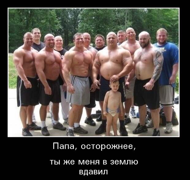 Демотиваторы демотиваторы, животные, прикол, юмор