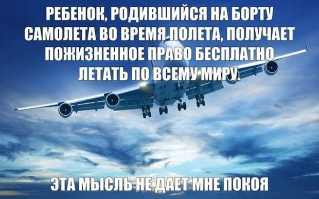 Смешные картинки с подписями катинки, прикол, юмор