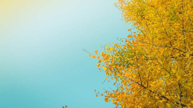 Designed by Freepik Designed by Freepik