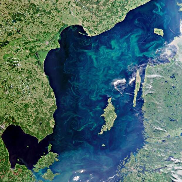 Балтика летом. Зеленый дым на поверхности - водоросли.  космос, россия, фото