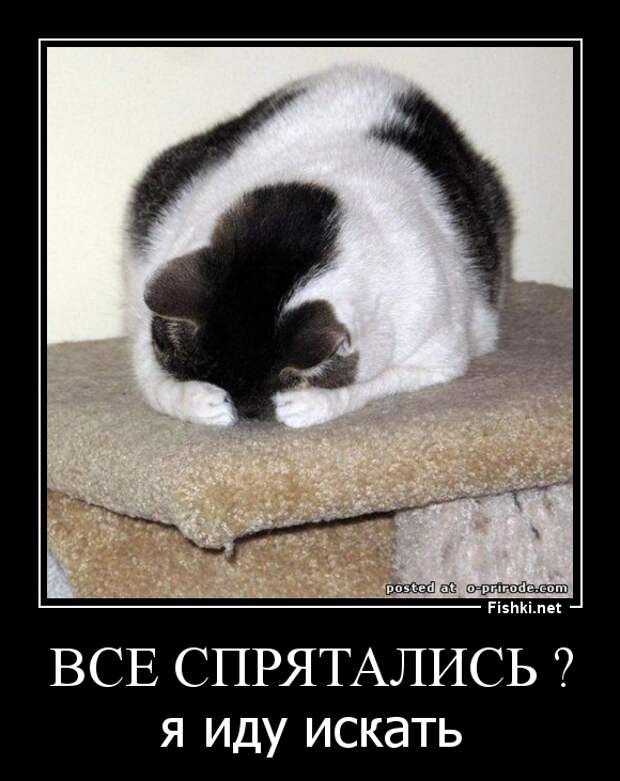 Демотиваторы демотиваторы, прикол, смех, юмор