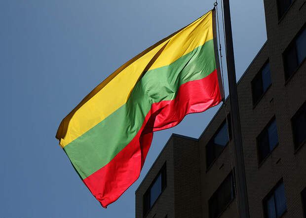 Безопасность Литвы снизилась из-за НАТО, заявил кандидат в президенты