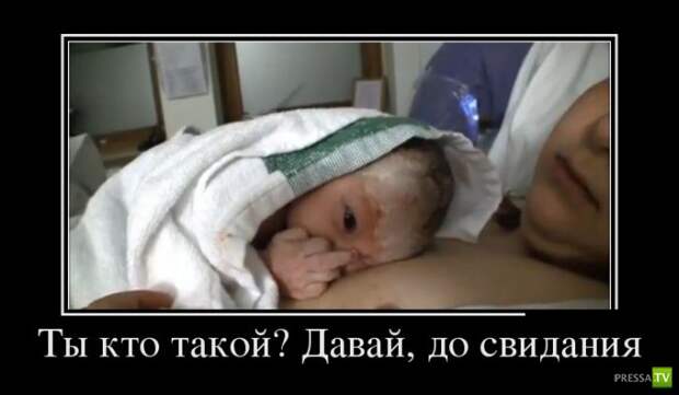 Демотиваторы на июнь, часть 15 (34 фото)