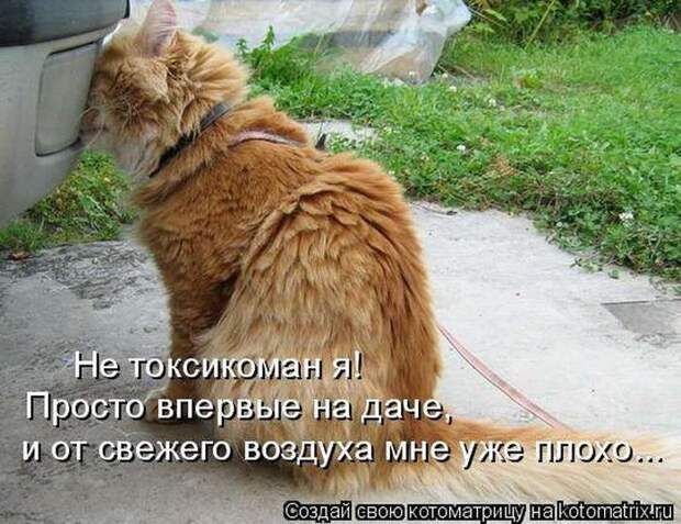 Мысли вслух :)